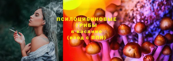 ГАЛЛЮЦИНОГЕННЫЕ ГРИБЫ Кулебаки