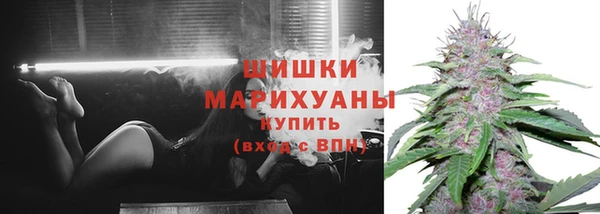 ГАЛЛЮЦИНОГЕННЫЕ ГРИБЫ Кулебаки