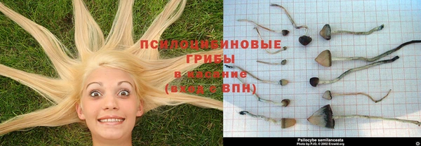 гашишное масло Гатчина