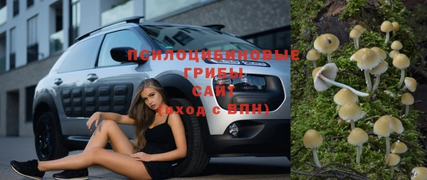 мдма Гвардейск