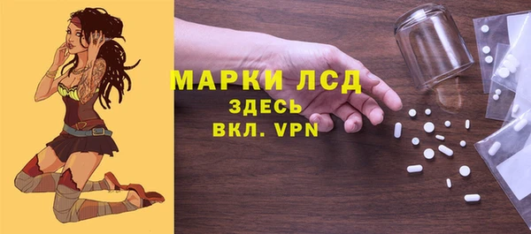 ГАЛЛЮЦИНОГЕННЫЕ ГРИБЫ Кулебаки