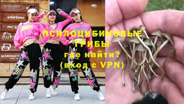 бошки Куйбышев